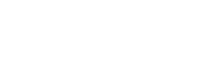 Suzuki GSX-R 1000R Anniversary. "The Gixxer"